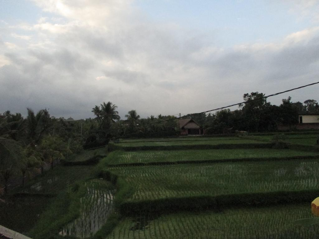 Ancut Sari Hotel Ubud  Ngoại thất bức ảnh
