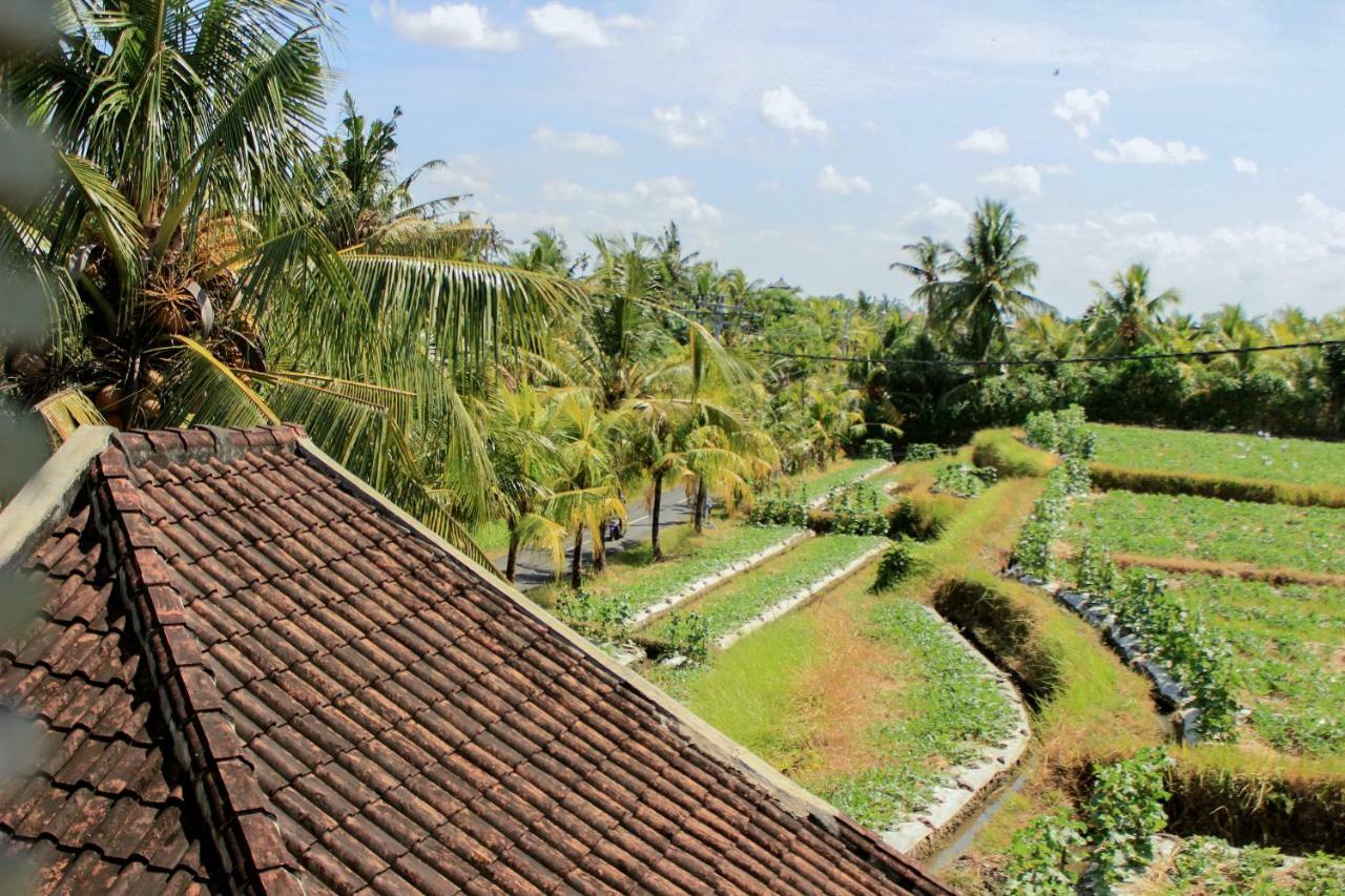 Ancut Sari Hotel Ubud  Ngoại thất bức ảnh